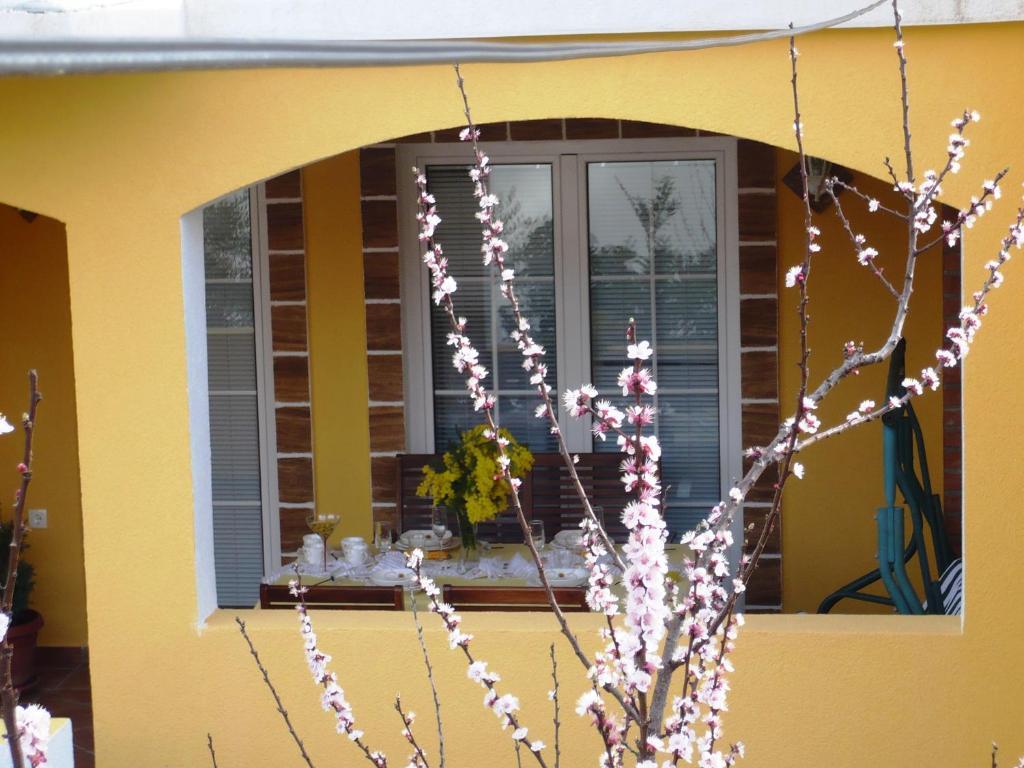 Apartments Brac سوبيتار الغرفة الصورة