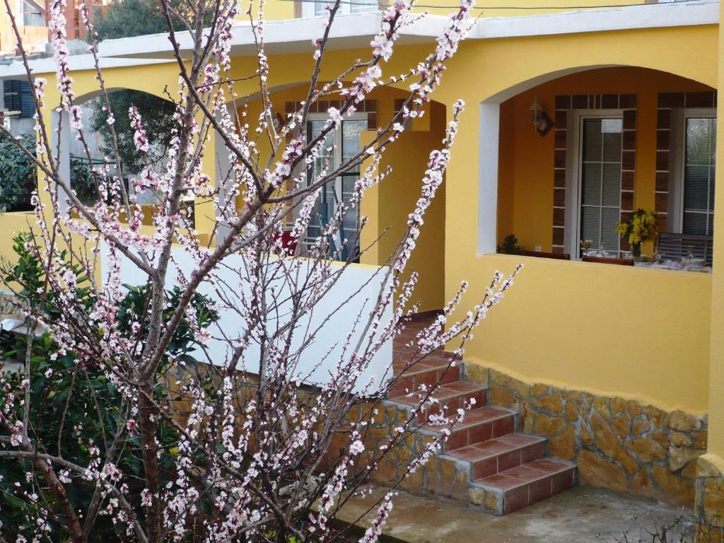 Apartments Brac سوبيتار المظهر الخارجي الصورة